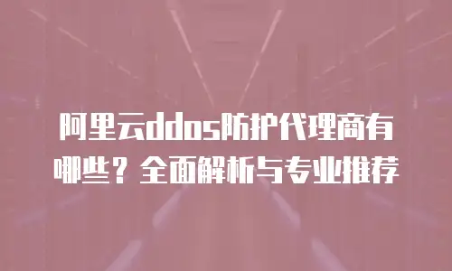 阿里云ddos防护代理商有哪些？全面解析与专业推荐