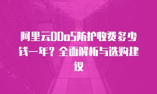 阿里云DDoS防护收费多少钱一年？全面解析与选购建议