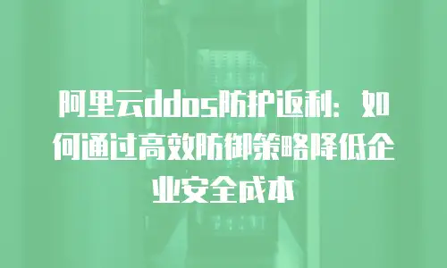阿里云ddos防护返利：如何通过高效防御策略降低企业安全成本