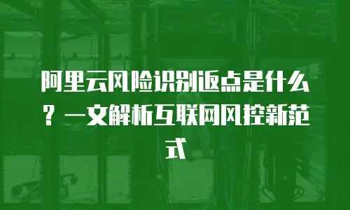 阿里云风险识别返点是什么？一文解析互联网风控新范式