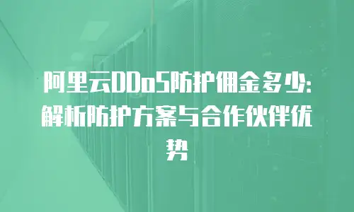 阿里云DDoS防护佣金多少：解析防护方案与合作伙伴优势