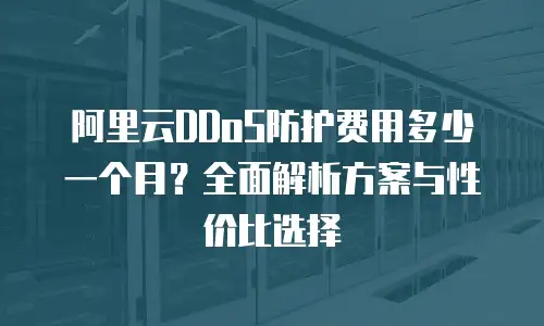 阿里云DDoS防护费用多少一个月？全面解析方案与性价比选择
