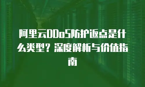 阿里云DDoS防护返点是什么类型？深度解析与价值指南