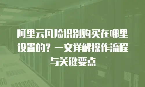 阿里云风险识别购买在哪里设置的？一文详解操作流程与关键要点