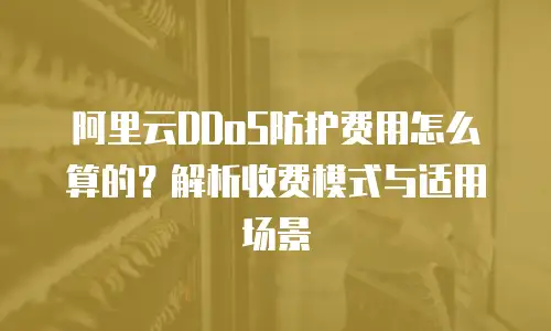 阿里云DDoS防护费用怎么算的？解析收费模式与适用场景