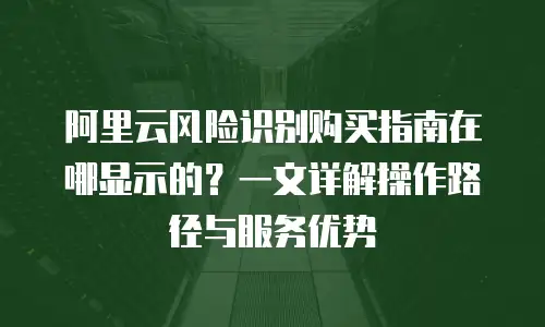 阿里云风险识别购买指南在哪显示的？一文详解操作路径与服务优势