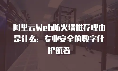 阿里云Web防火墙推荐理由是什么：专业安全的数字化护航者