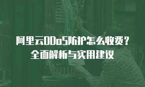 阿里云DDoS防护怎么收费？全面解析与实用建议