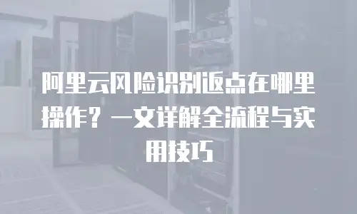 阿里云风险识别返点在哪里操作？一文详解全流程与实用技巧