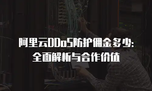 阿里云DDoS防护佣金多少：全面解析与合作价值