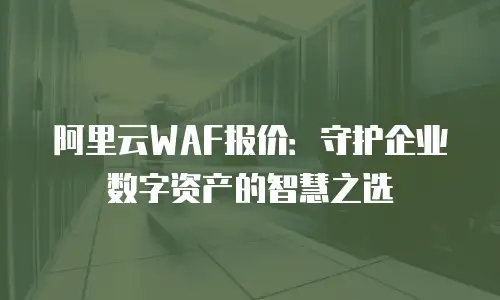 阿里云WAF报价：守护企业数字资产的智慧之选