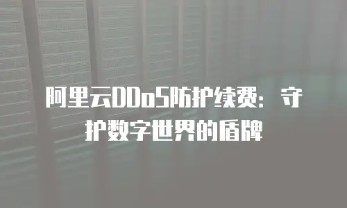 阿里云DDoS防护续费：守护数字世界的盾牌
