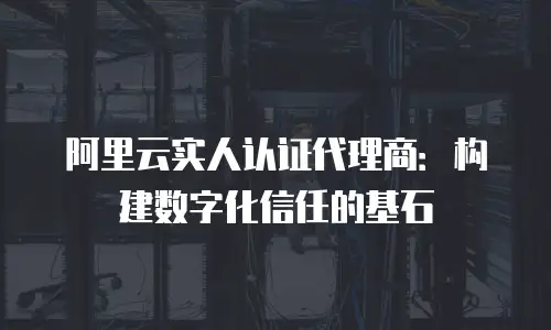 阿里云实人认证代理商：构建数字化信任的基石