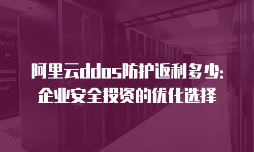 阿里云ddos防护返利多少：企业安全投资的优化选择