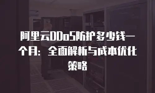 阿里云DDoS防护多少钱一个月：全面解析与成本优化策略