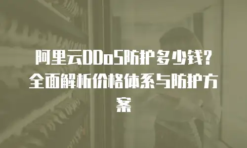 阿里云DDoS防护多少钱？全面解析价格体系与防护方案
