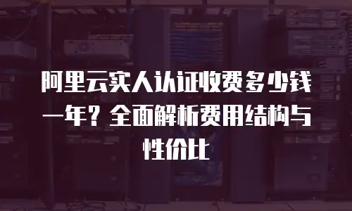 阿里云实人认证收费多少钱一年？全面解析费用结构与性价比