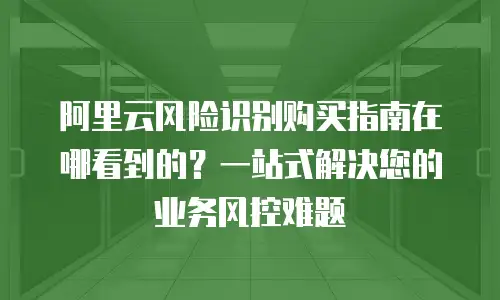 阿里云风险识别购买指南在哪看到的？一站式解决您的业务风控难题