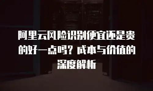 阿里云风险识别便宜还是贵的好一点吗？成本与价值的深度解析