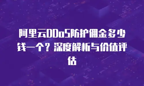 阿里云DDoS防护佣金多少钱一个？深度解析与价值评估