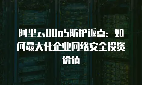 阿里云DDoS防护返点：如何最大化企业网络安全投资价值