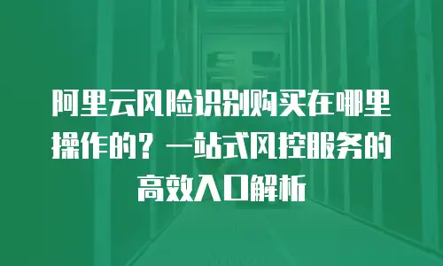 阿里云风险识别购买在哪里操作的？一站式风控服务的高效入口解析