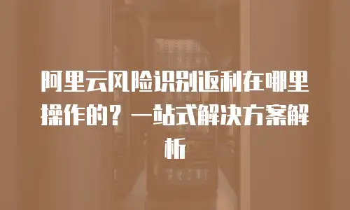 阿里云风险识别返利在哪里操作的？一站式解决方案解析