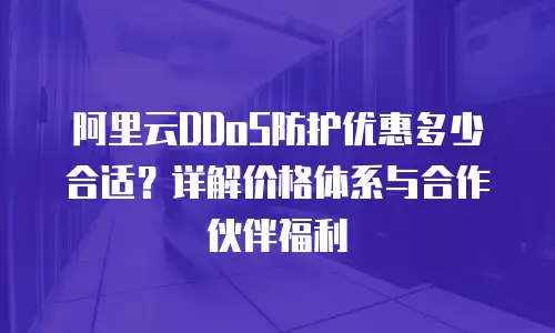 阿里云DDoS防护优惠多少合适？详解价格体系与合作伙伴福利