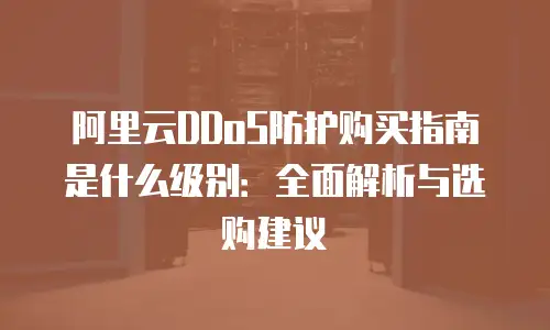 阿里云DDoS防护购买指南是什么级别：全面解析与选购建议
