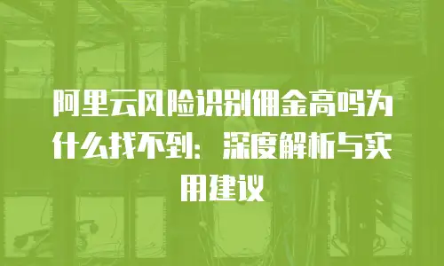 阿里云风险识别佣金高吗为什么找不到：深度解析与实用建议