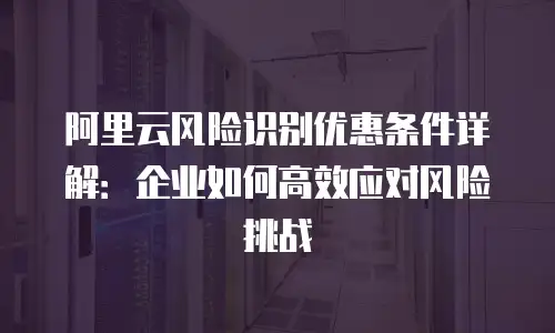 阿里云风险识别优惠条件详解：企业如何高效应对风险挑战