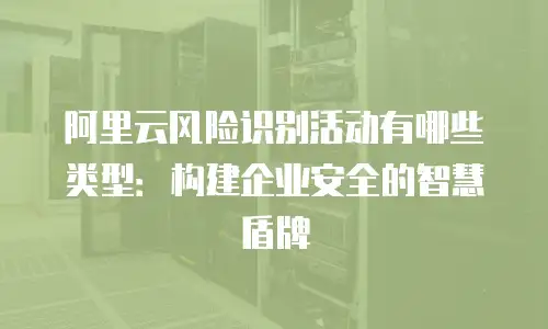 阿里云风险识别活动有哪些类型：构建企业安全的智慧盾牌