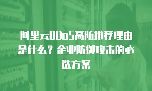 阿里云DDoS高防推荐理由是什么？企业防御攻击的必选方案