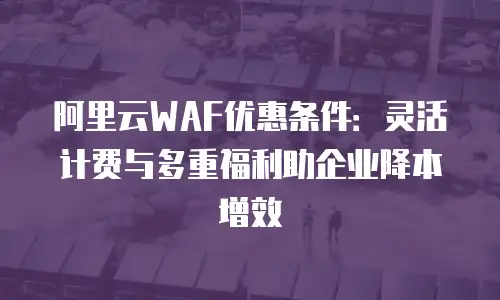 阿里云WAF优惠条件：灵活计费与多重福利助企业降本增效
