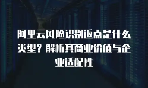 阿里云风险识别返点是什么类型？解析其商业价值与企业适配性