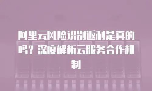 阿里云风险识别返利是真的吗？深度解析云服务合作机制
