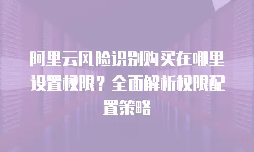 阿里云风险识别购买在哪里设置权限？全面解析权限配置策略