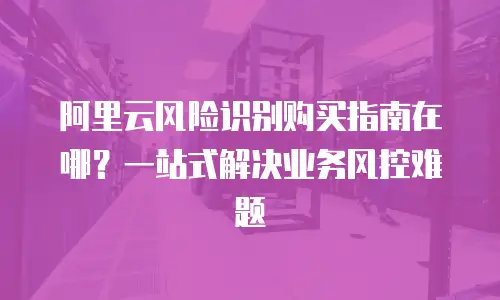 阿里云风险识别购买指南在哪？一站式解决业务风控难题