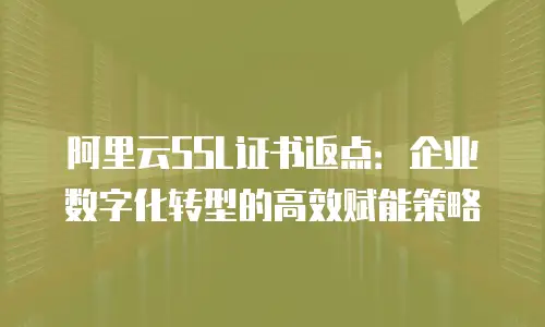 阿里云SSL证书返点：企业数字化转型的高效赋能策略