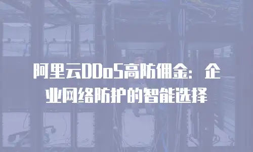 阿里云DDoS高防佣金：企业网络防护的智能选择