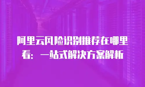 阿里云风险识别推荐在哪里看：一站式解决方案解析