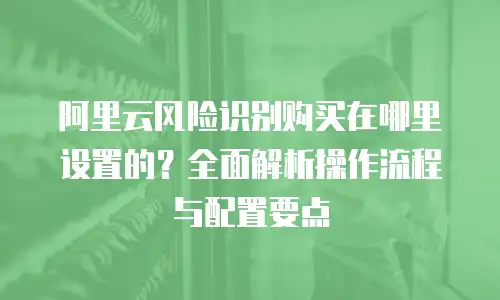 阿里云风险识别购买在哪里设置的？全面解析操作流程与配置要点
