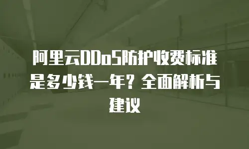 阿里云DDoS防护收费标准是多少钱一年？全面解析与建议