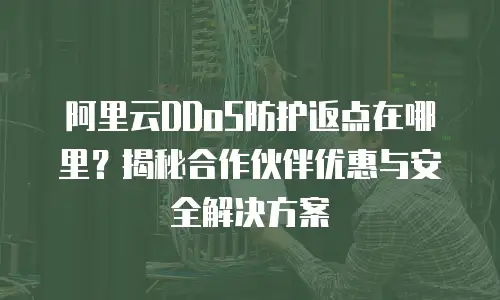 阿里云DDoS防护返点在哪里？揭秘合作伙伴优惠与安全解决方案