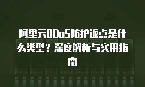 阿里云DDoS防护返点是什么类型？深度解析与实用指南