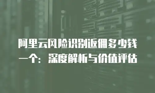 阿里云风险识别返佣多少钱一个：深度解析与价值评估