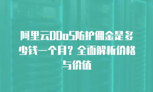 阿里云DDoS防护佣金是多少钱一个月？全面解析价格与价值