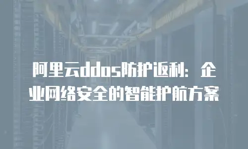 阿里云ddos防护返利：企业网络安全的智能护航方案