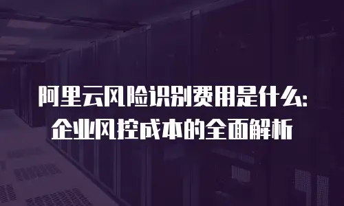 阿里云风险识别费用是什么：企业风控成本的全面解析