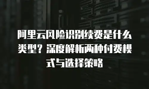 阿里云风险识别续费是什么类型？深度解析两种付费模式与选择策略